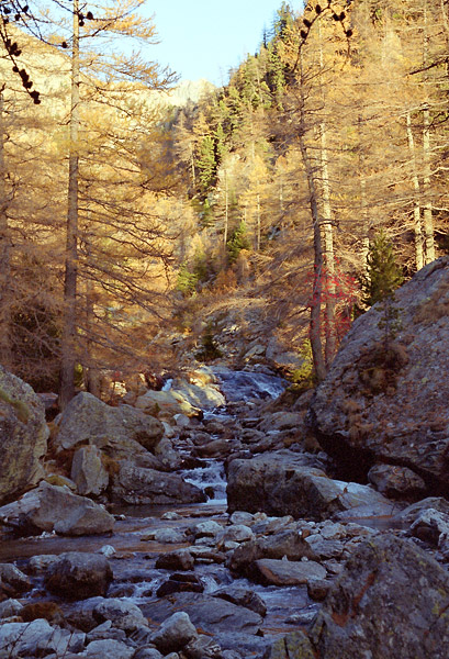 alpinisme/alpes-sud/2001_11_nasta/2001_1104.jpg