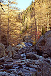 Vallon de la Cougourde