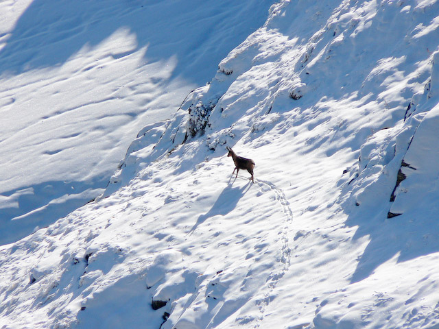 alpinisme/pyrenees/2007_11_piau/p1070162.jpg