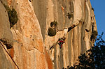 un 8b