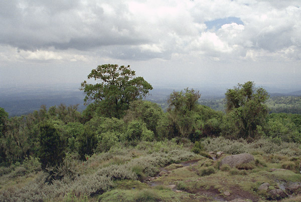expe/2001_09_kenya/kenya-2/kenya-2-13.jpg