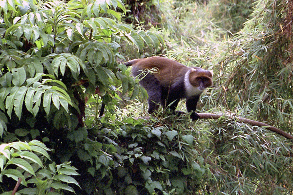expe/2001_09_kenya/kenya-2/kenya-2-17.jpg