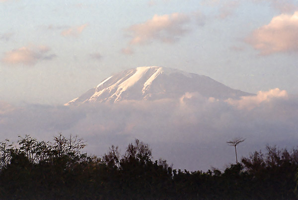 expe/2001_09_kilimanjaro/kili-1/kilimanjaro-1-01.jpg