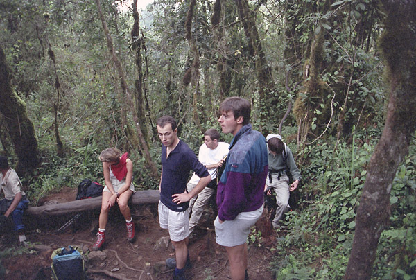 expe/2001_09_kilimanjaro/kili-1/kilimanjaro-1-11.jpg