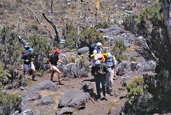 expe/2001_09_kilimanjaro/kili-2/kilimanjaro-2-03.jpg