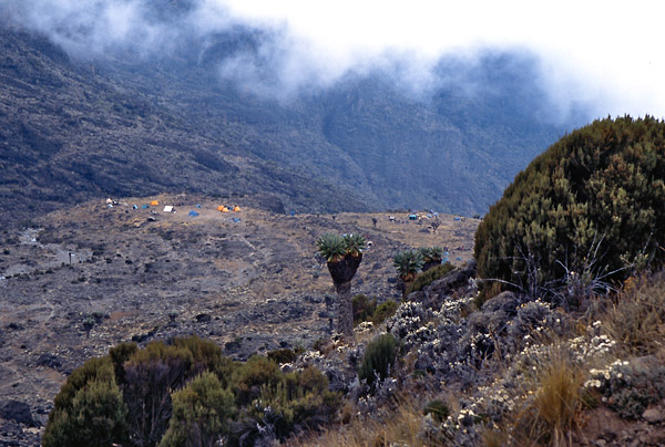 expe/2001_09_kilimanjaro/kili-2/kilimanjaro-2-30.jpg