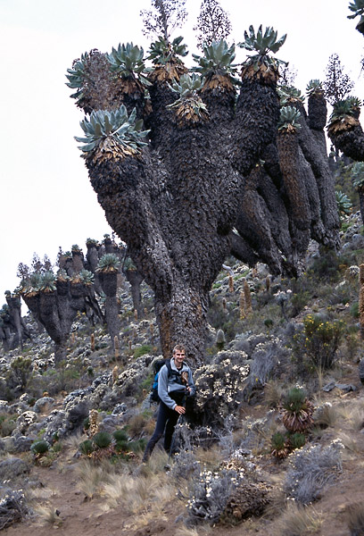 expe/2001_09_kilimanjaro/kili-2/kilimanjaro-2-35.jpg