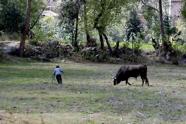 expe/2003_07_perou/vallee_sacree/2003_1141.jpg