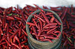 Petits piments rouges