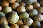 Citrons runionnais