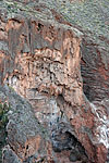 Ile "fossilise"