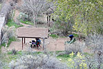 Indian Garden Campground