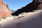 dunes