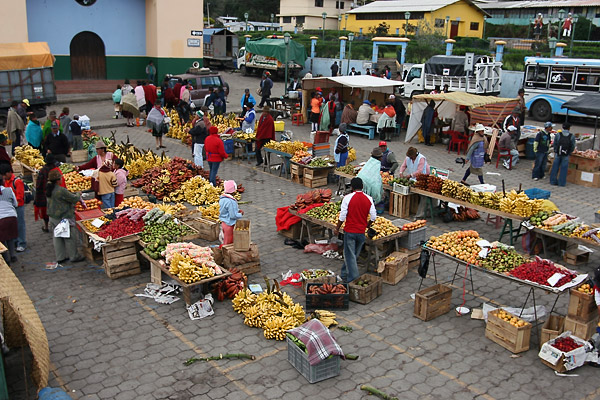 expe/2007_01_equateur/2007_0166.jpg