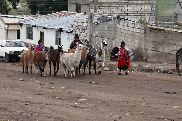 expe/2007_01_equateur/2007_0186.jpg