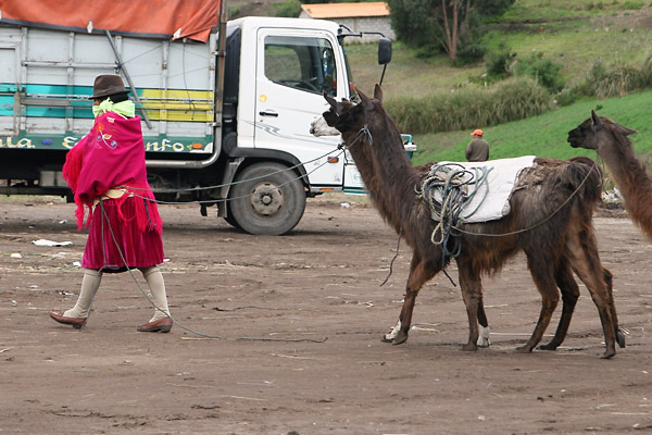 expe/2007_01_equateur/2007_0192.jpg