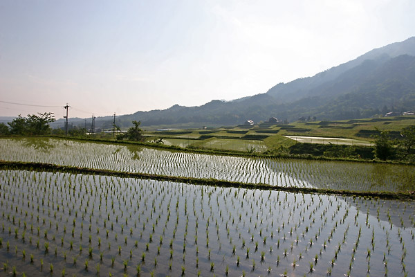 expe/2007_05_japan/2007_0872.jpg