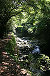 Kiyotaki-gawa