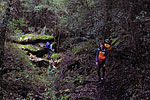 Descente sur Carbini