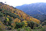 Couleurs d