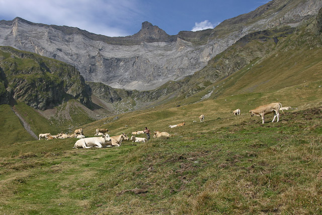 rando/pyrenees/2008_09_barroude/2008_0920.jpg