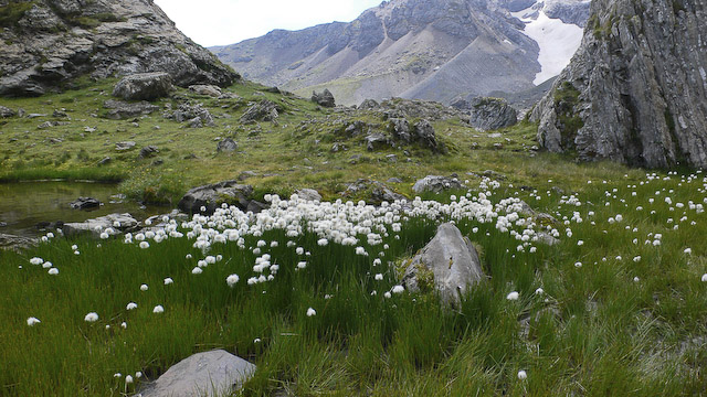 rando/pyrenees/2008_09_barroude/2008_0962.jpg